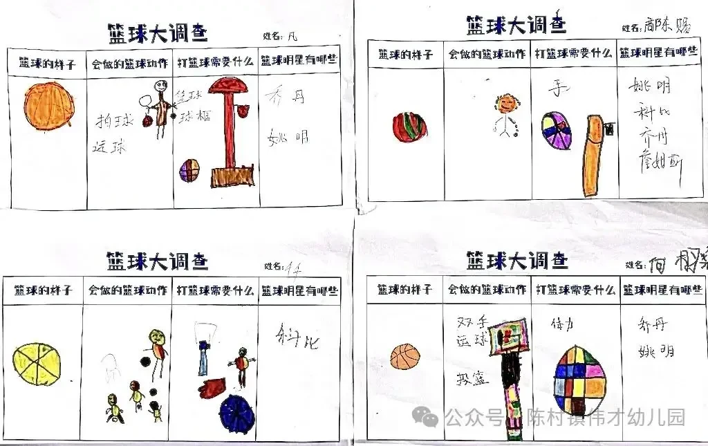 如何设计一个全面的篮球训练支持系统？